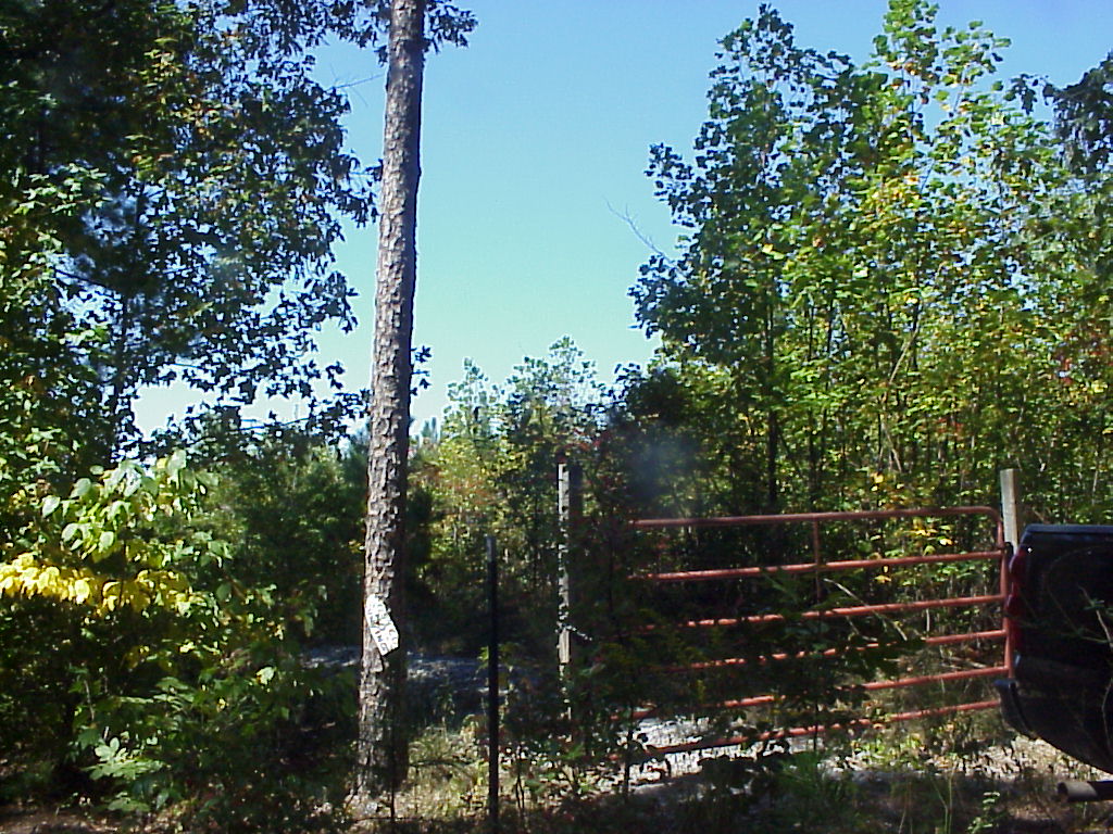 MVC-017X