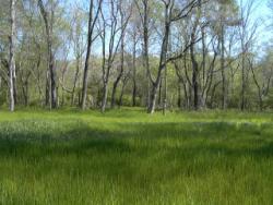 16 Acres / Fairfield