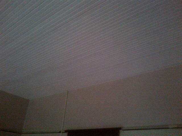 323RomeStCeiling-IMG-20140109-00709