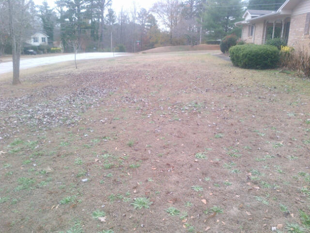 9SweetbriarYardNewnan-20131206-00490
