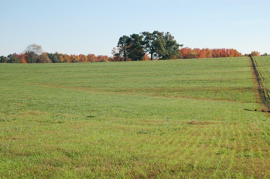 383StoneyPointPasture-DSC_0011