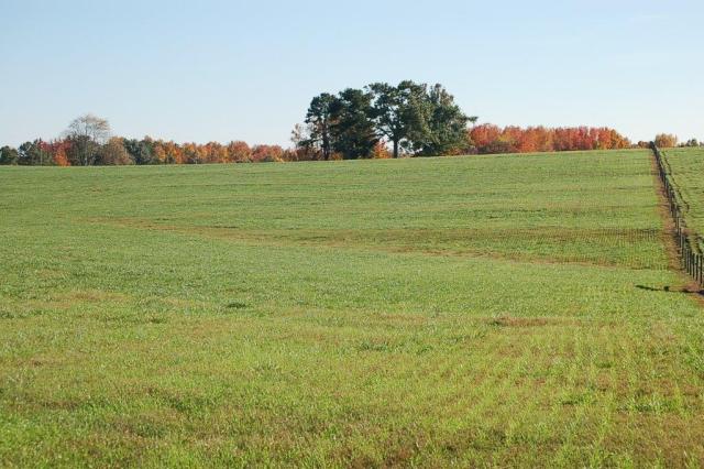 383StoneyPointPasture-DSC_0011