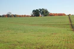 383StoneyPointPasture-DSC_0011
