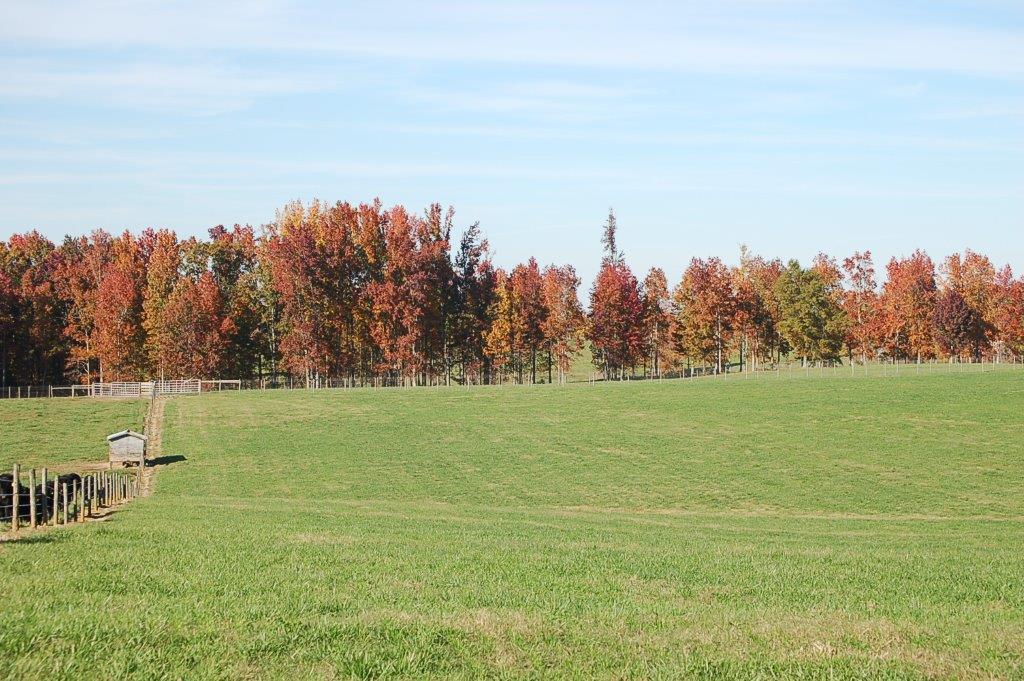 383StoneyPointPasture2-DSC_0014