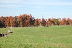 383StoneyPointPasture2-DSC_0014