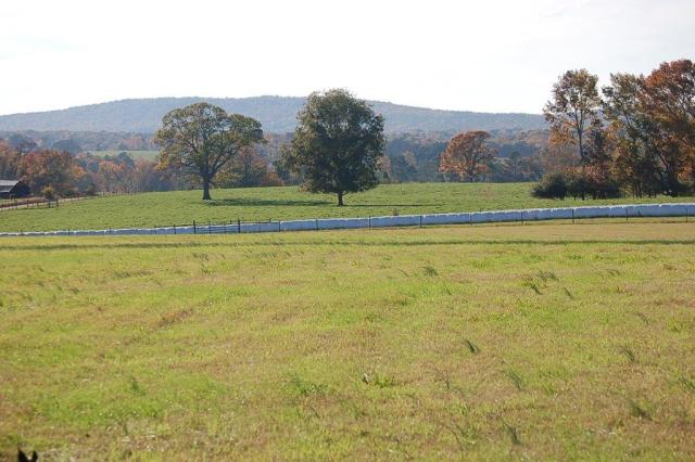383StoneyPointpasture3-DSC_0021