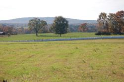 383StoneyPointpasture3-DSC_0021