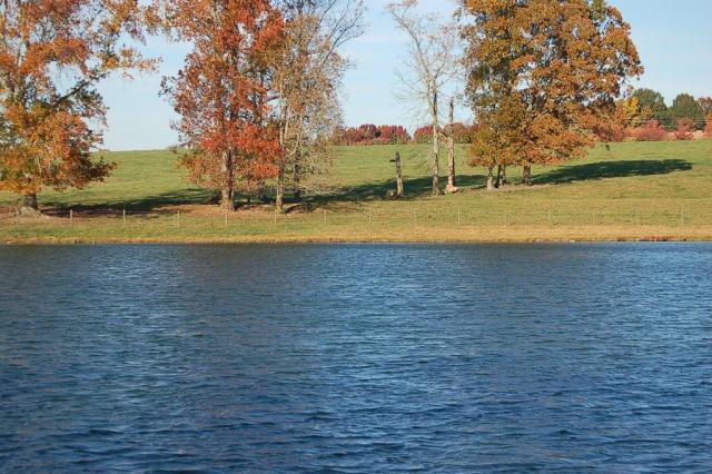 383StoneyPointLake&Trees-DSC_0050