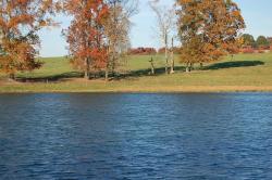 383StoneyPointLake&Trees-DSC_0050