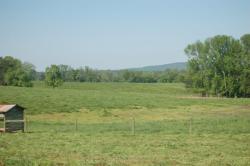 383StoneyPointShed-DSC_0036