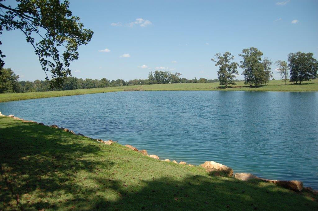 383StoneyPointLakeview5-DSC_0096