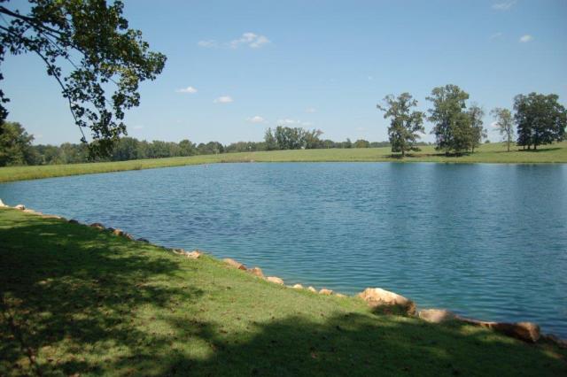 383StoneyPointLakeview5-DSC_0096