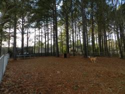 113WaterOaktrees-106