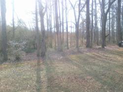 2287CtonVRHwyTrees-IMG-20140207-00788