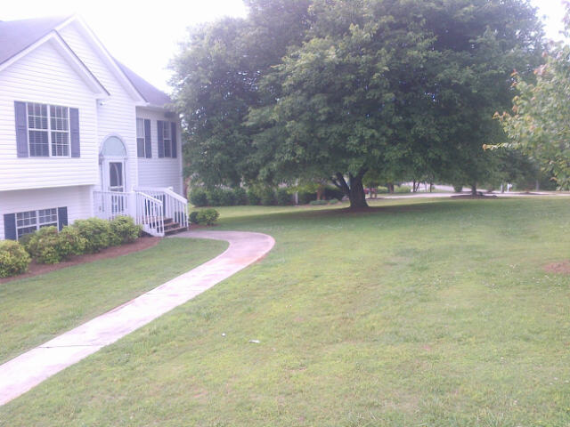 7975WCarrollTree-Carrollton-20140527-01067