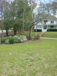 252MinkFrontView-20140409_115925